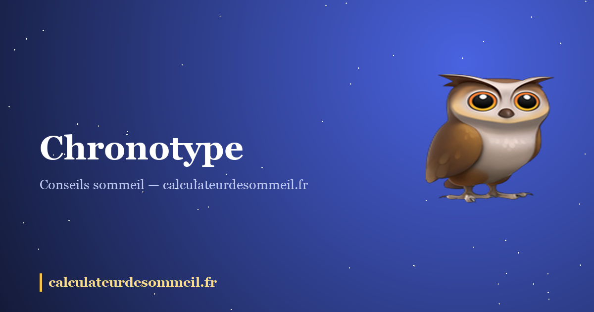 Chronotype : êtes-vous vraiment du matin ou du soir ? : illustration