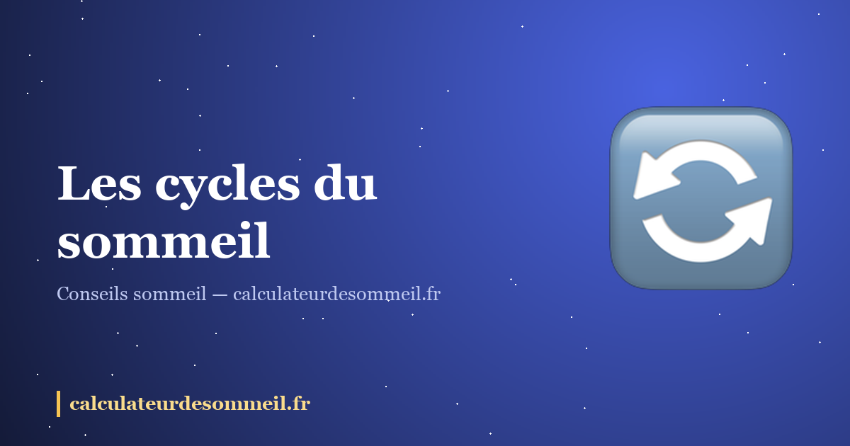 Les cycles du sommeil : comprendre enfin comment fonctionnent vos nuits : illustration